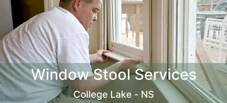  Window Stool Services College Lake - NS