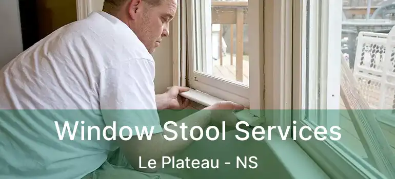  Window Stool Services Le Plateau - NS