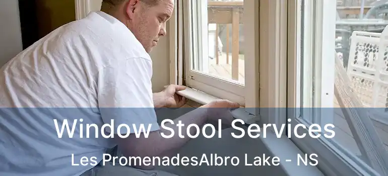  Window Stool Services Les PromenadesAlbro Lake - NS