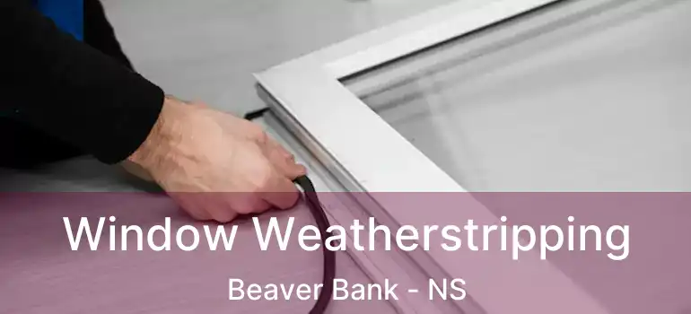  Window Weatherstripping Beaver Bank - NS