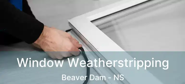  Window Weatherstripping Beaver Dam - NS