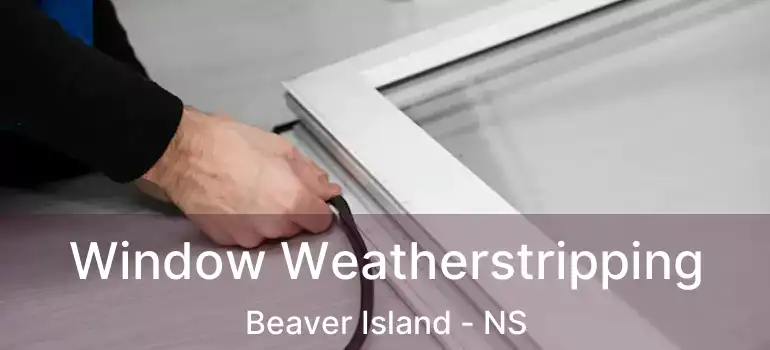  Window Weatherstripping Beaver Island - NS