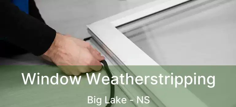  Window Weatherstripping Big Lake - NS