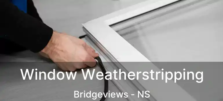  Window Weatherstripping Bridgeviews - NS