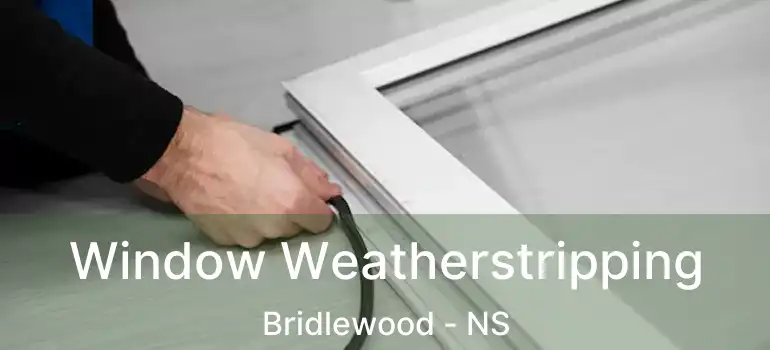  Window Weatherstripping Bridlewood - NS