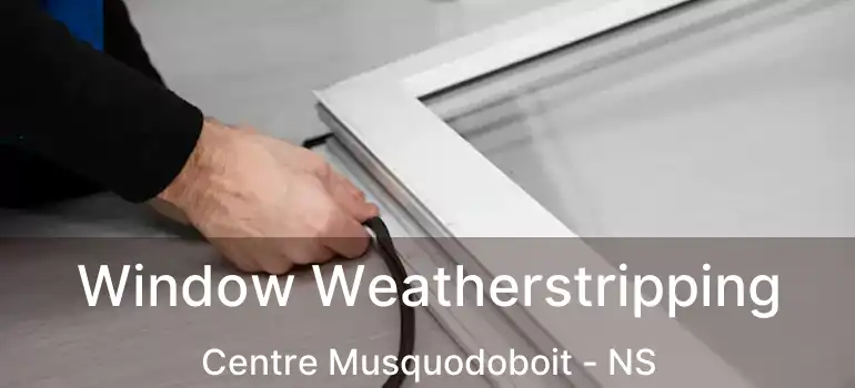  Window Weatherstripping Centre Musquodoboit - NS