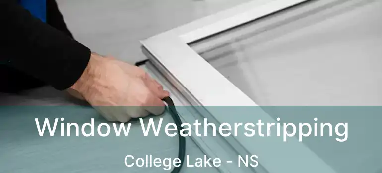  Window Weatherstripping College Lake - NS