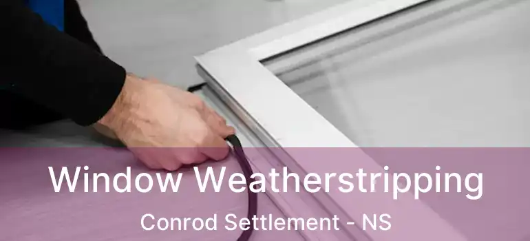  Window Weatherstripping Conrod Settlement - NS