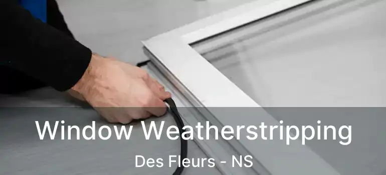  Window Weatherstripping Des Fleurs - NS