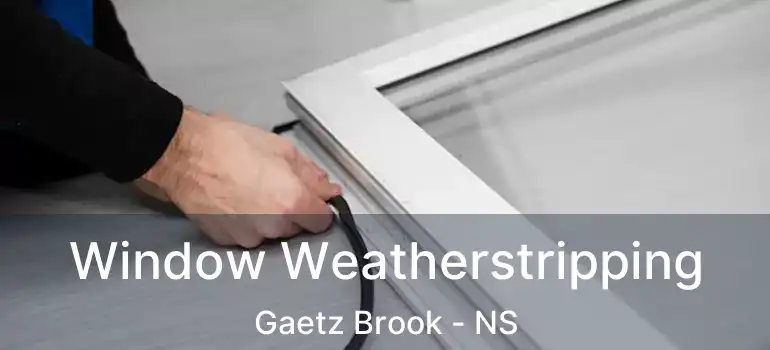  Window Weatherstripping Gaetz Brook - NS