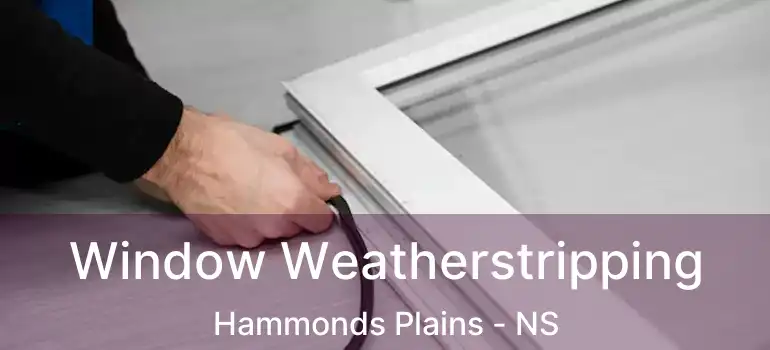  Window Weatherstripping Hammonds Plains - NS