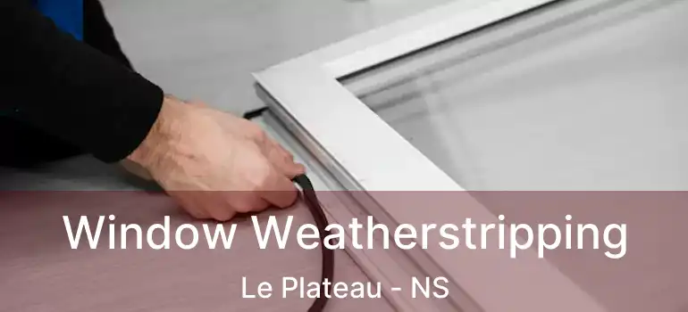  Window Weatherstripping Le Plateau - NS