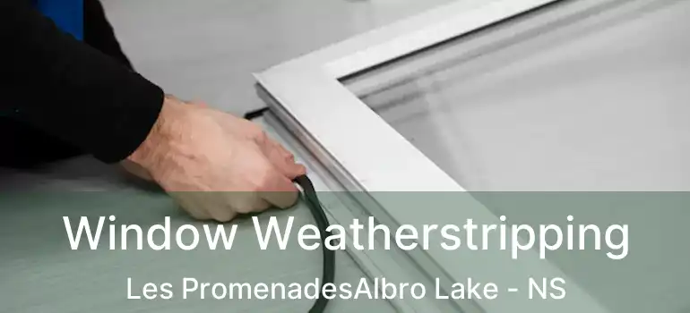  Window Weatherstripping Les PromenadesAlbro Lake - NS