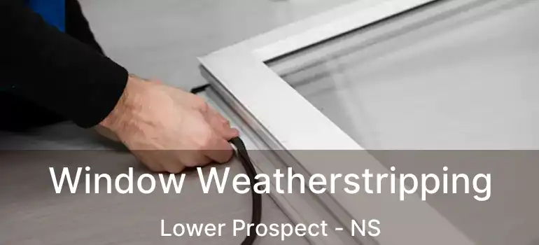  Window Weatherstripping Lower Prospect - NS