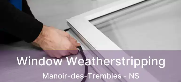  Window Weatherstripping Manoir-des-Trembles - NS