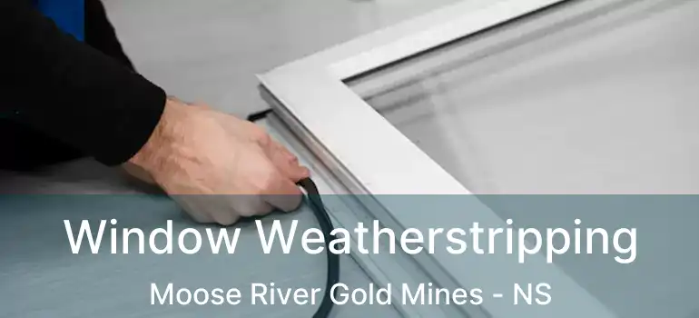  Window Weatherstripping Moose River Gold Mines - NS