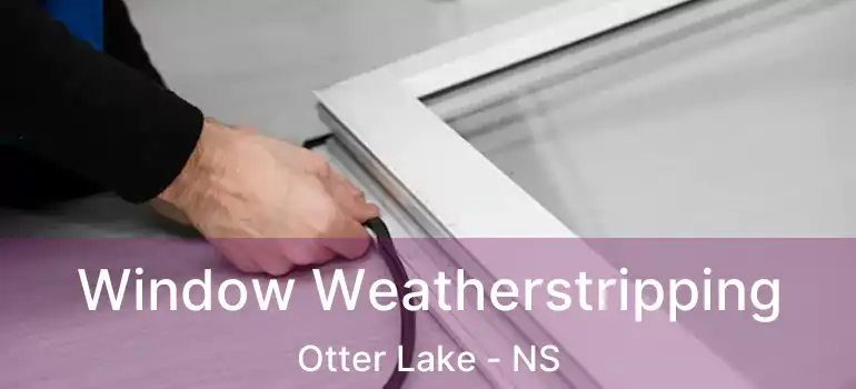  Window Weatherstripping Otter Lake - NS