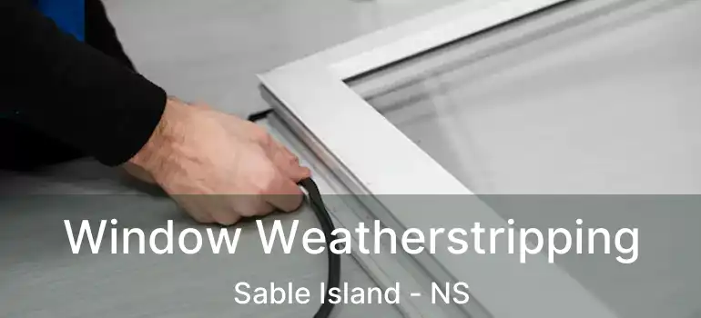  Window Weatherstripping Sable Island - NS