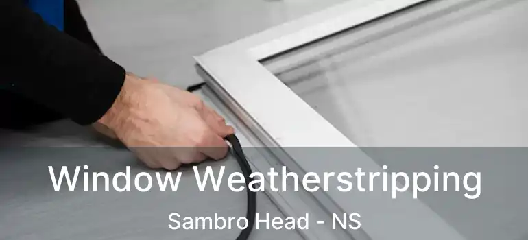  Window Weatherstripping Sambro Head - NS