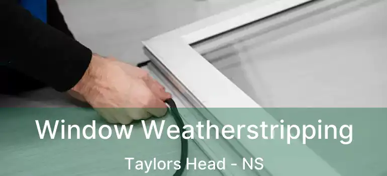  Window Weatherstripping Taylors Head - NS