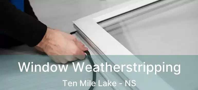  Window Weatherstripping Ten Mile Lake - NS