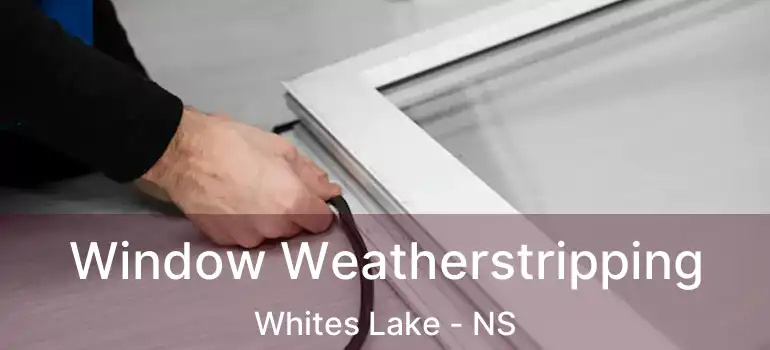  Window Weatherstripping Whites Lake - NS