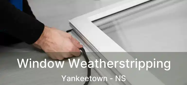  Window Weatherstripping Yankeetown - NS