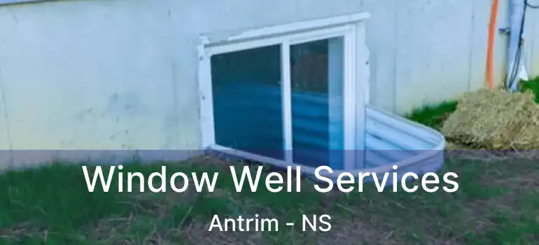  Window Well Services Antrim - NS