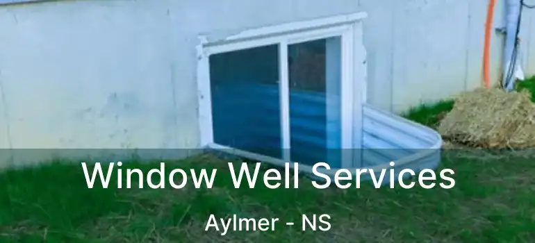  Window Well Services Aylmer - NS