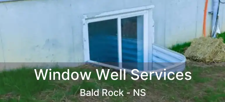  Window Well Services Bald Rock - NS