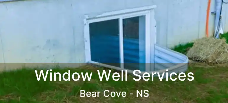  Window Well Services Bear Cove - NS