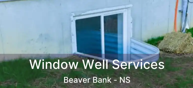  Window Well Services Beaver Bank - NS