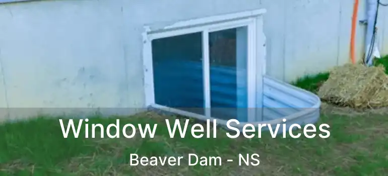  Window Well Services Beaver Dam - NS