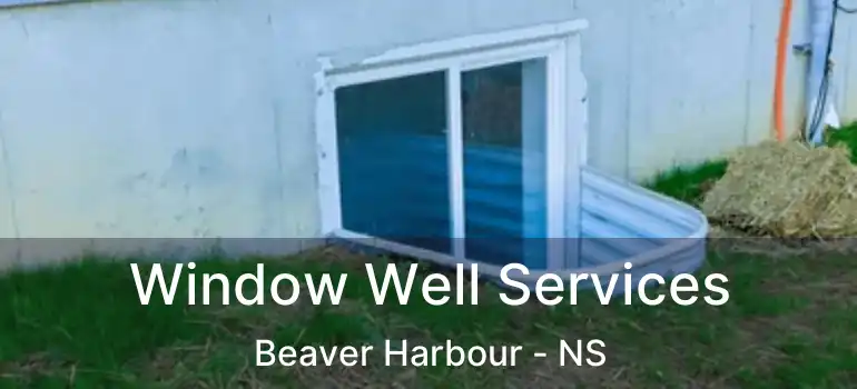  Window Well Services Beaver Harbour - NS