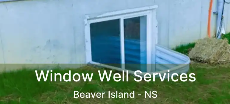  Window Well Services Beaver Island - NS