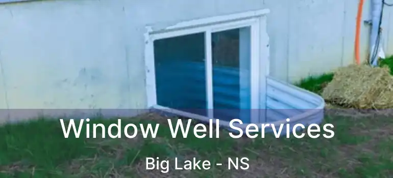  Window Well Services Big Lake - NS