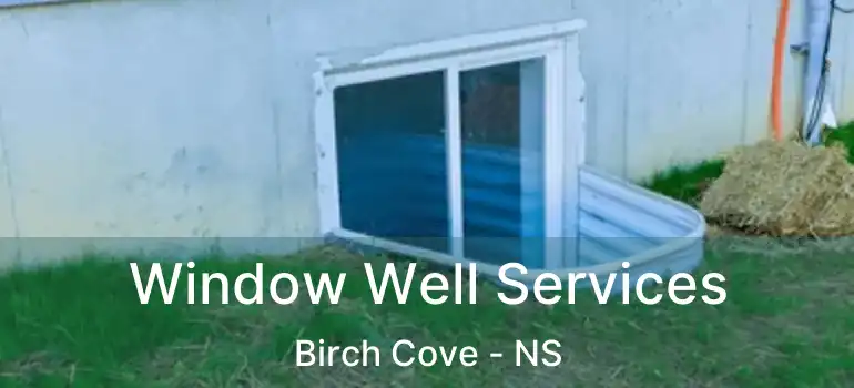  Window Well Services Birch Cove - NS