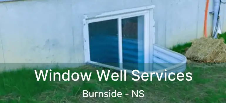  Window Well Services Burnside - NS