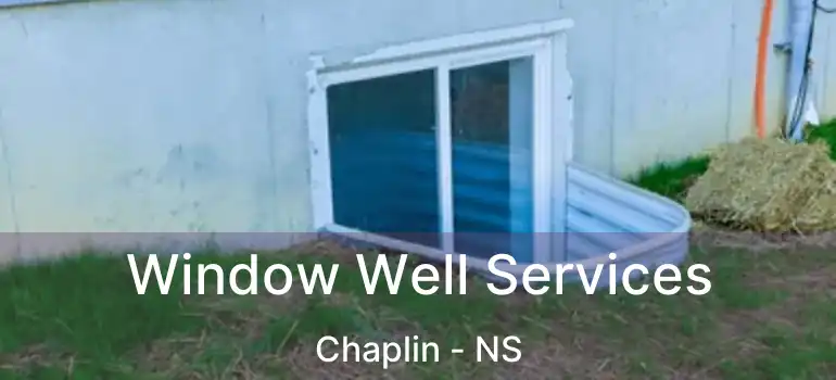  Window Well Services Chaplin - NS