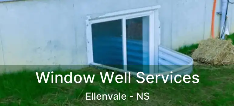  Window Well Services Ellenvale - NS