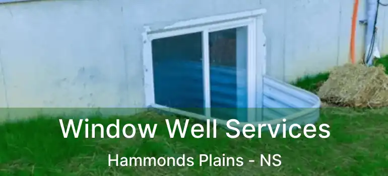  Window Well Services Hammonds Plains - NS