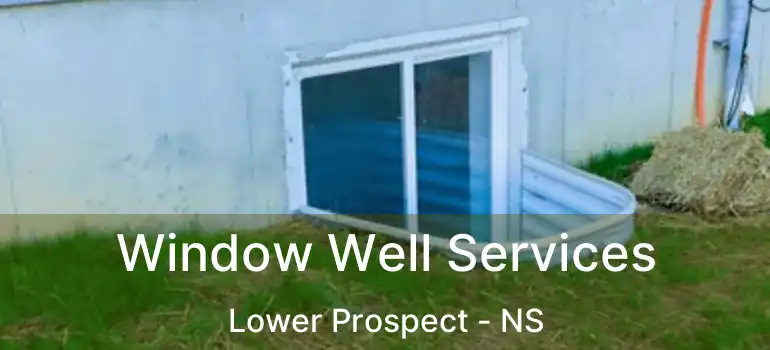  Window Well Services Lower Prospect - NS