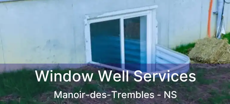  Window Well Services Manoir-des-Trembles - NS