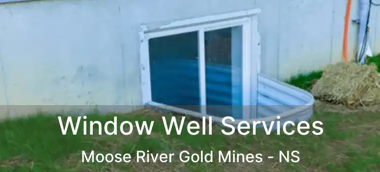  Window Well Services Moose River Gold Mines - NS