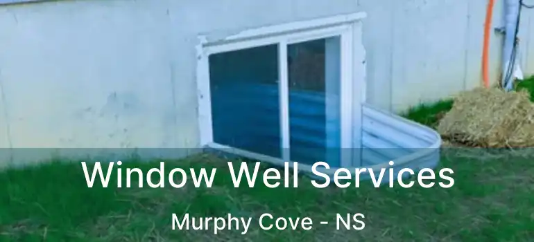  Window Well Services Murphy Cove - NS