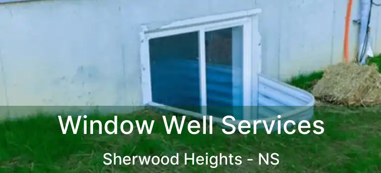  Window Well Services Sherwood Heights - NS