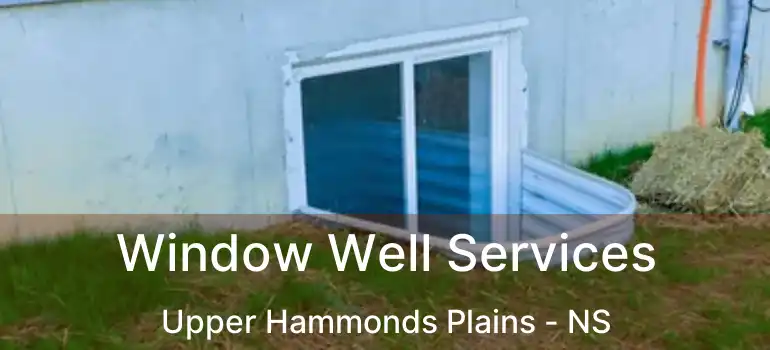  Window Well Services Upper Hammonds Plains - NS