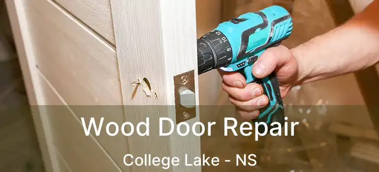  Wood Door Repair College Lake - NS