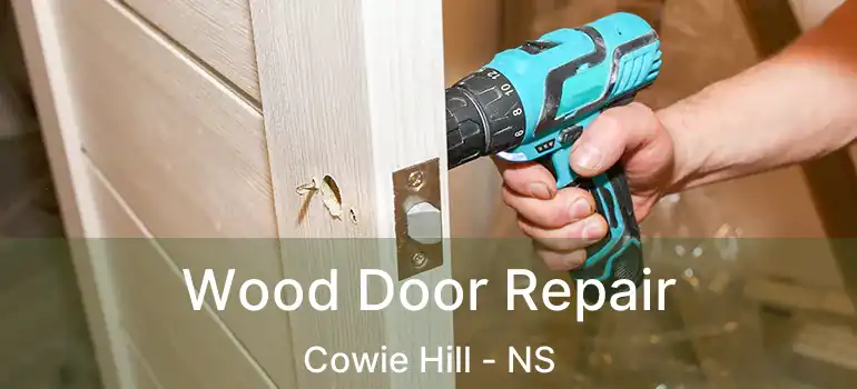  Wood Door Repair Cowie Hill - NS