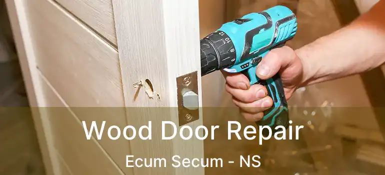  Wood Door Repair Ecum Secum - NS